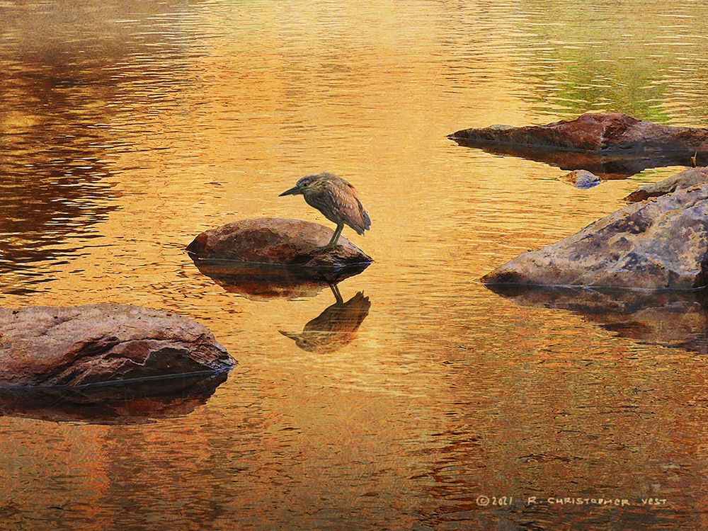Copper Colored Stream art print by Christopher Vest for $57.95 CAD