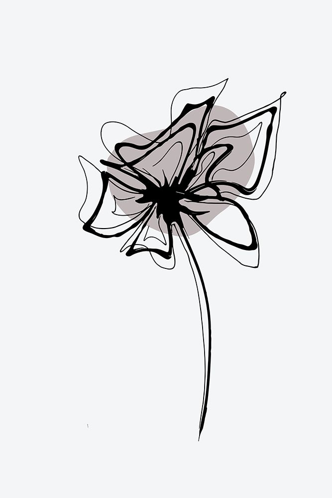 Minimal Gilia Flower art print by Andrea Haase for $57.95 CAD