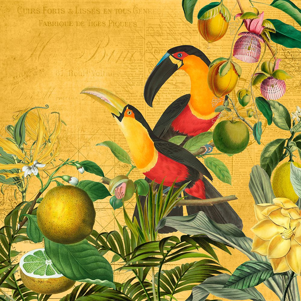 Exotic Birds Jungle art print by Andrea Haase for $57.95 CAD