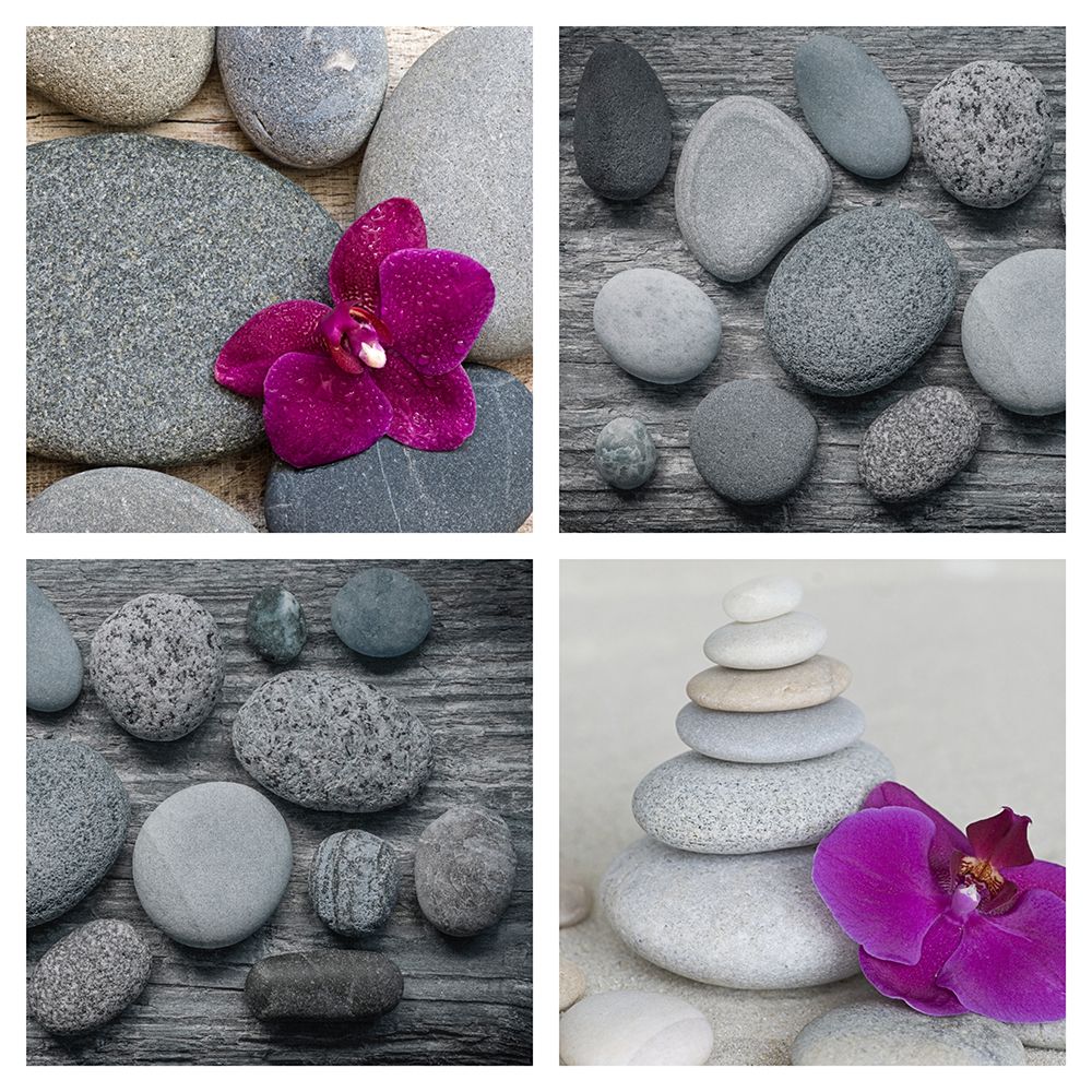 Zen Orchid Collage art print by Andrea Haase for $57.95 CAD
