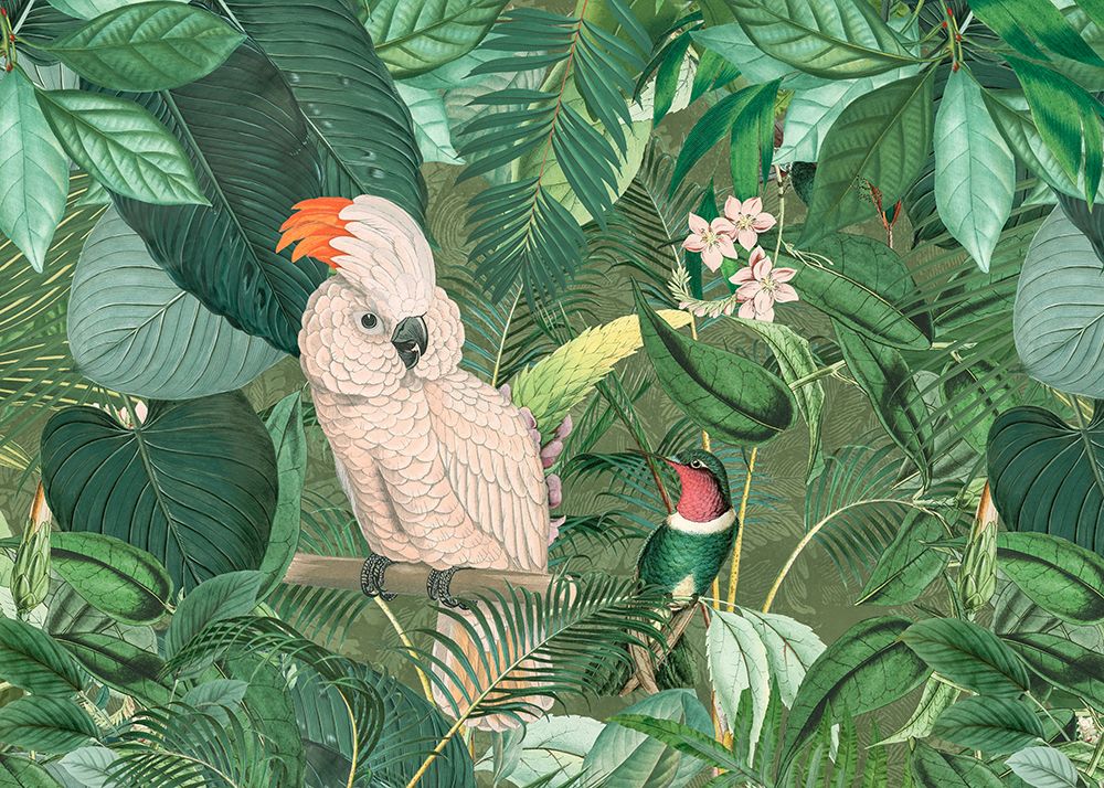 Jungle Friends art print by Andrea Haase for $57.95 CAD