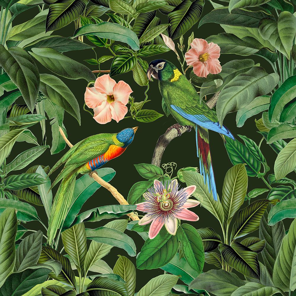 Exotic Paradise Jungle Birds art print by Andrea Haase for $57.95 CAD