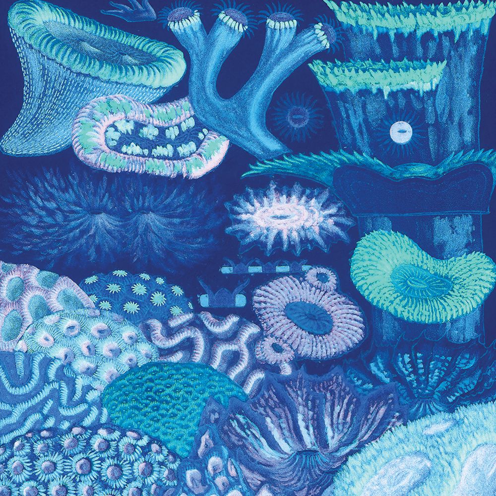 Ocean Blue II art print by Steve Hunziker for $57.95 CAD