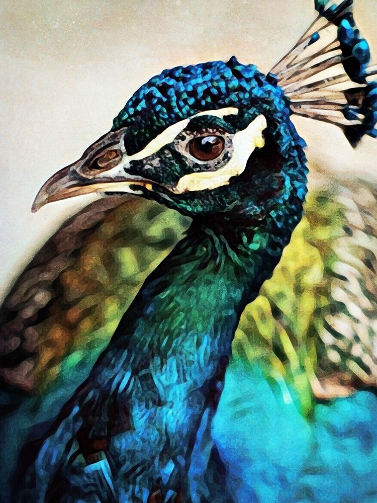 Peacock Pretty And Proud art print by Ashley Aldridge for $57.95 CAD