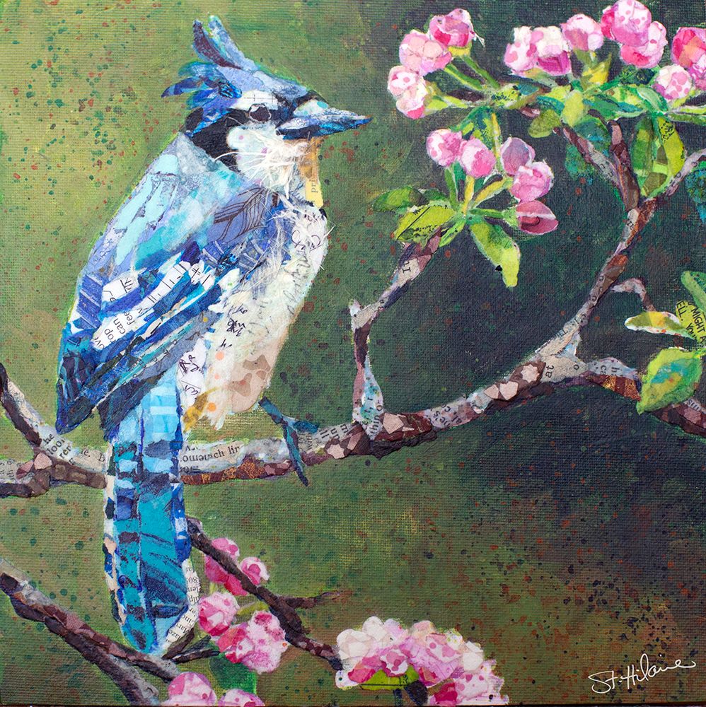 Blue Jay on Apple Blossoms art print by Elizabeth St Hilaire for $57.95 CAD