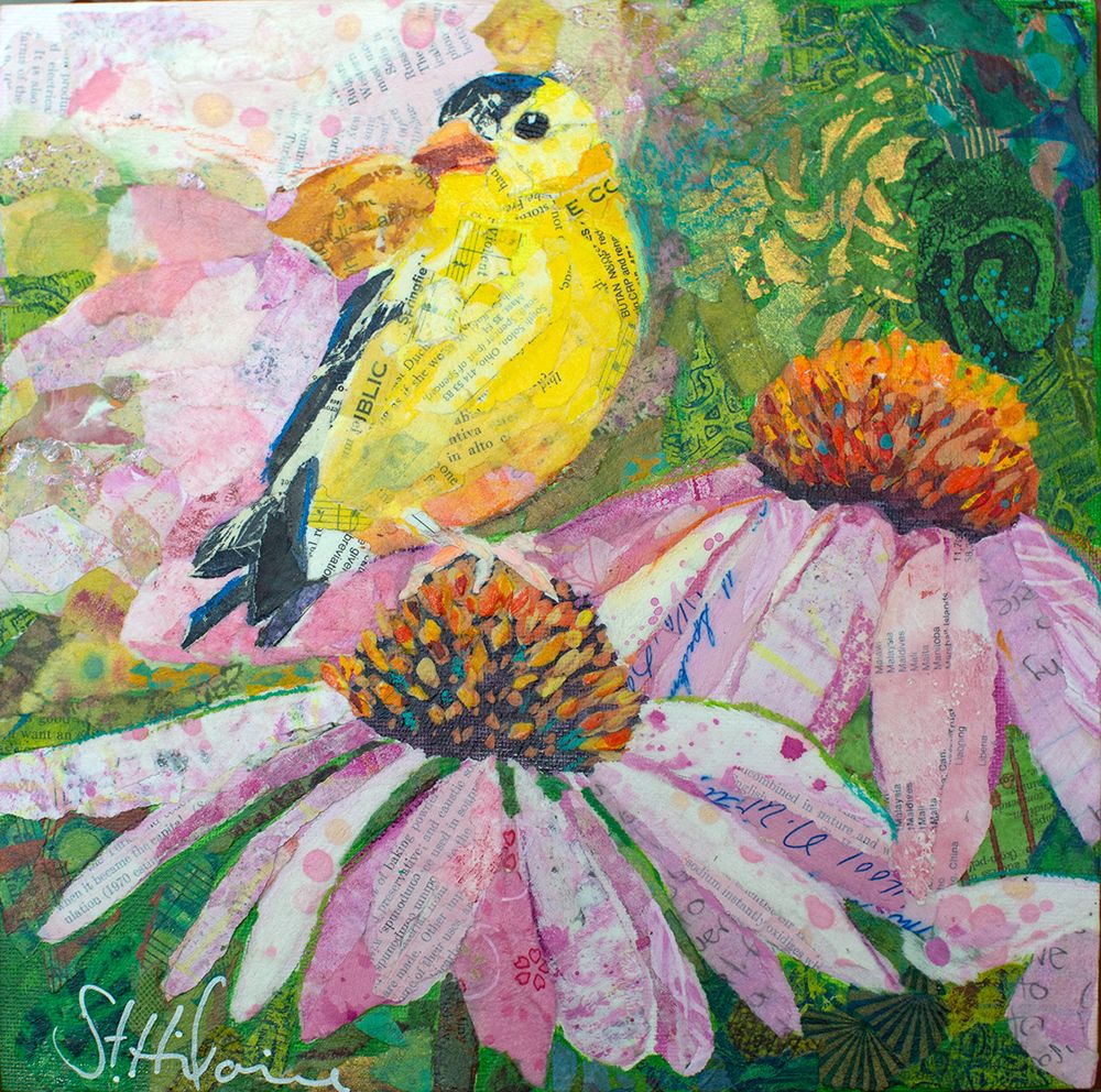 Finch on Coneflowers art print by Elizabeth St Hilaire for $57.95 CAD