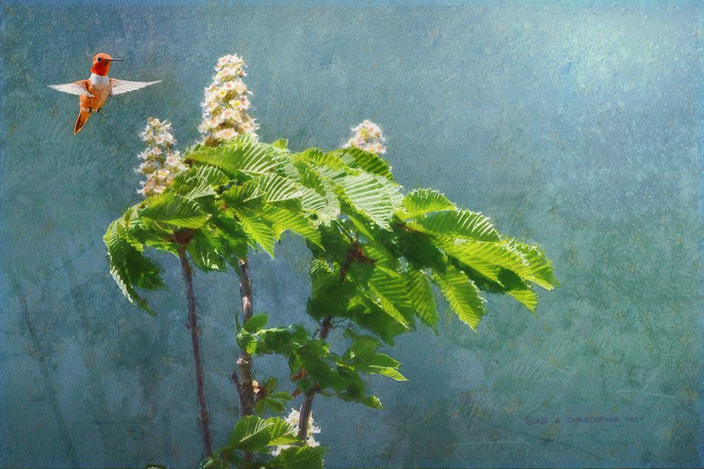 Windy Days Chestnut Blooms art print by Christopher Vest for $57.95 CAD