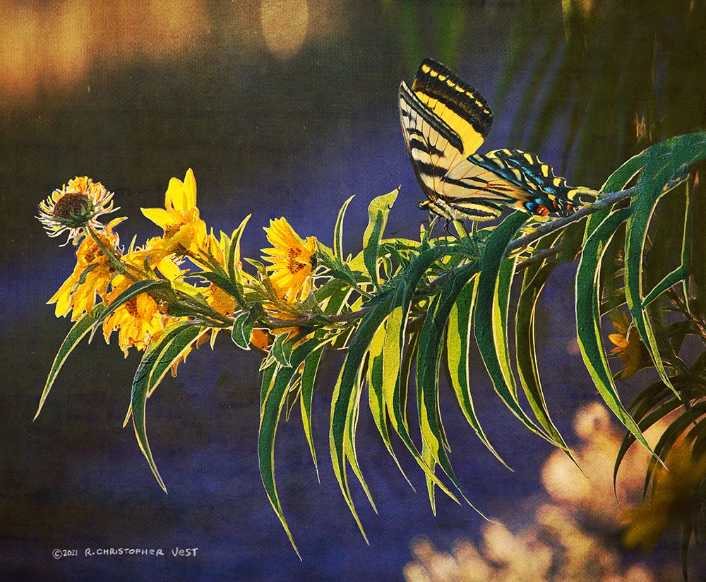 Yellow Flowers Butterfly art print by Christopher Vest for $57.95 CAD