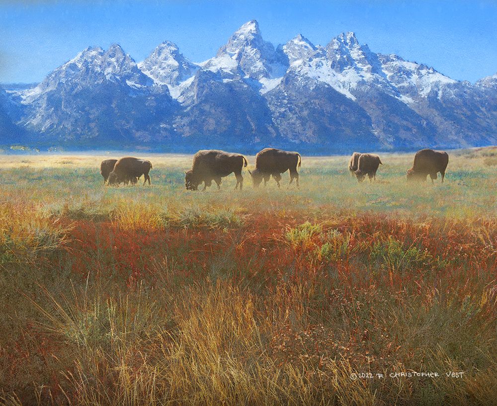 Meadow Grass Grand Teton art print by Christopher Vest for $57.95 CAD