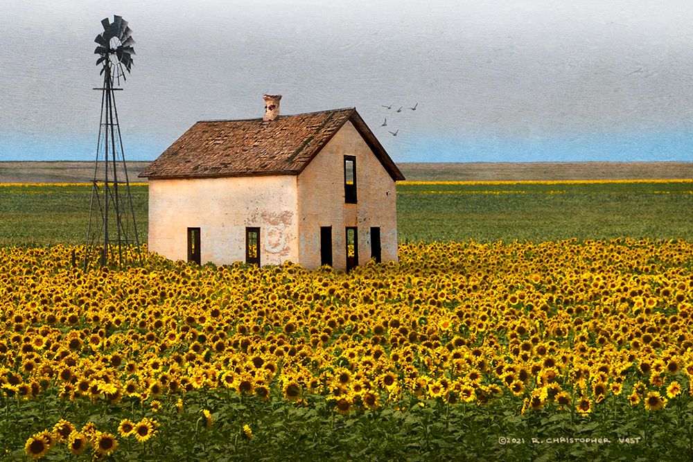 White House with Sunflowers art print by Christopher Vest for $57.95 CAD
