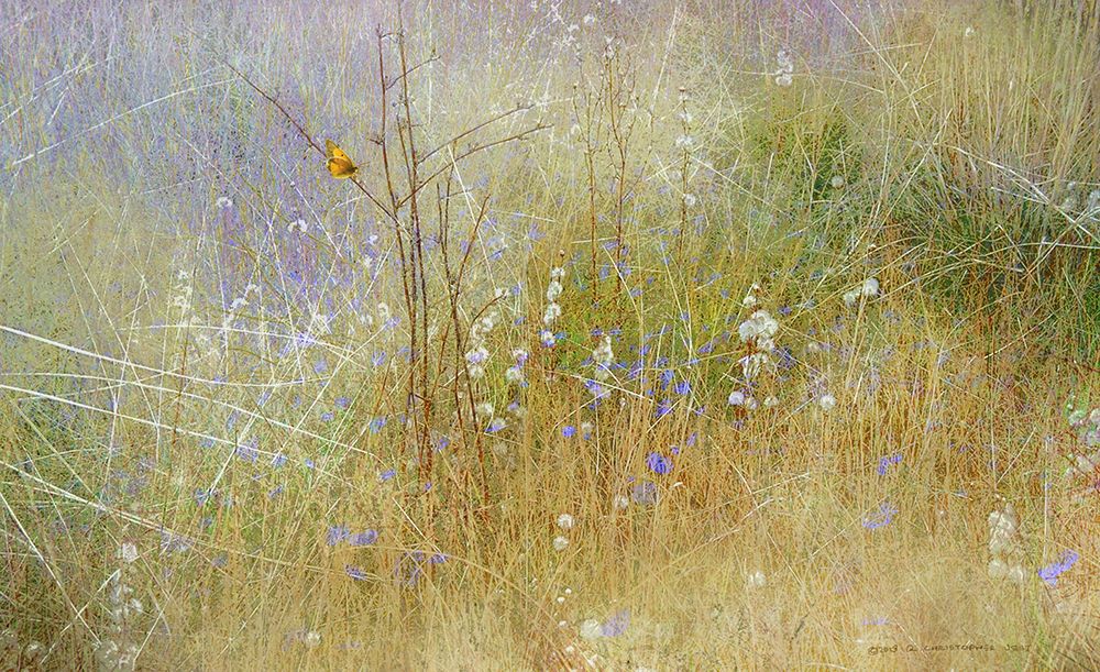 Meadow Mural art print by Christopher Vest for $57.95 CAD