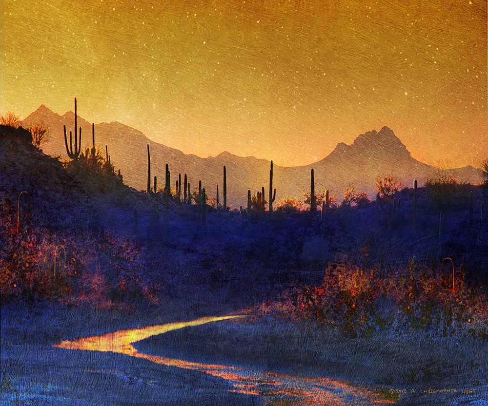 Sunset Saguaros Stream art print by Christopher Vest for $57.95 CAD