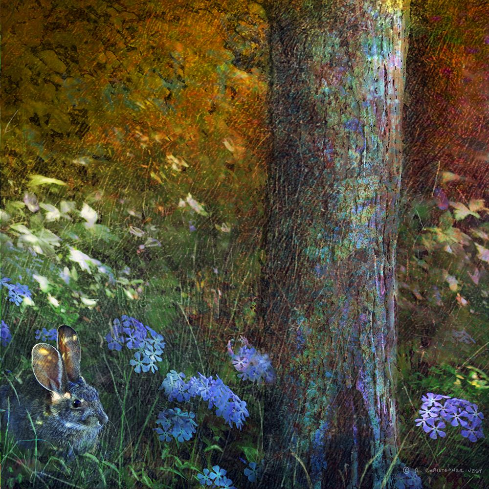 Forest Bunny art print by Christopher Vest for $57.95 CAD