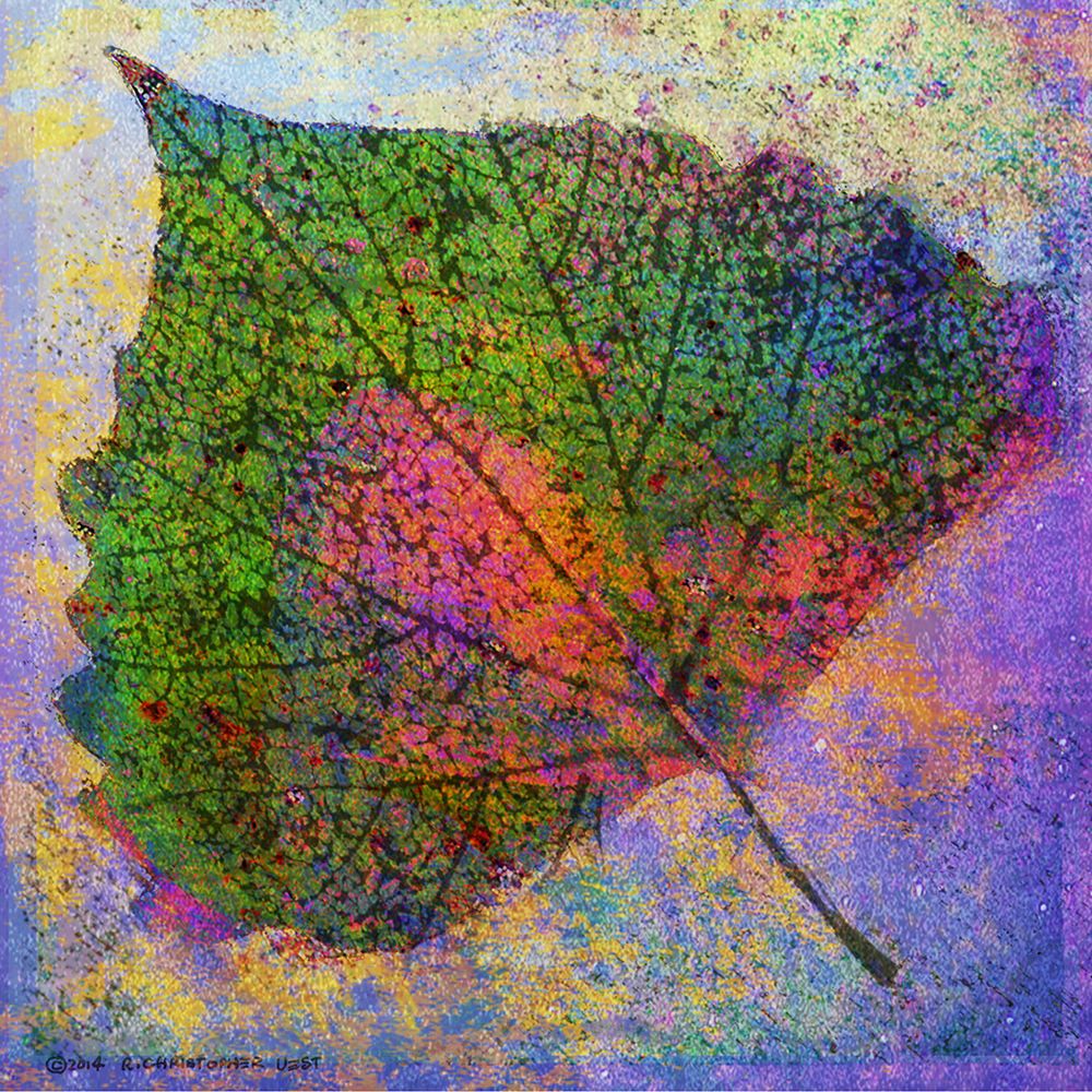 Cottonwood Leaf I art print by Christopher Vest for $57.95 CAD