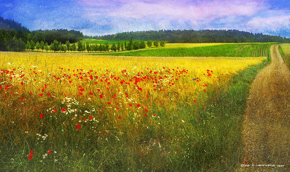 Barley and Poppies art print by Christopher Vest for $57.95 CAD