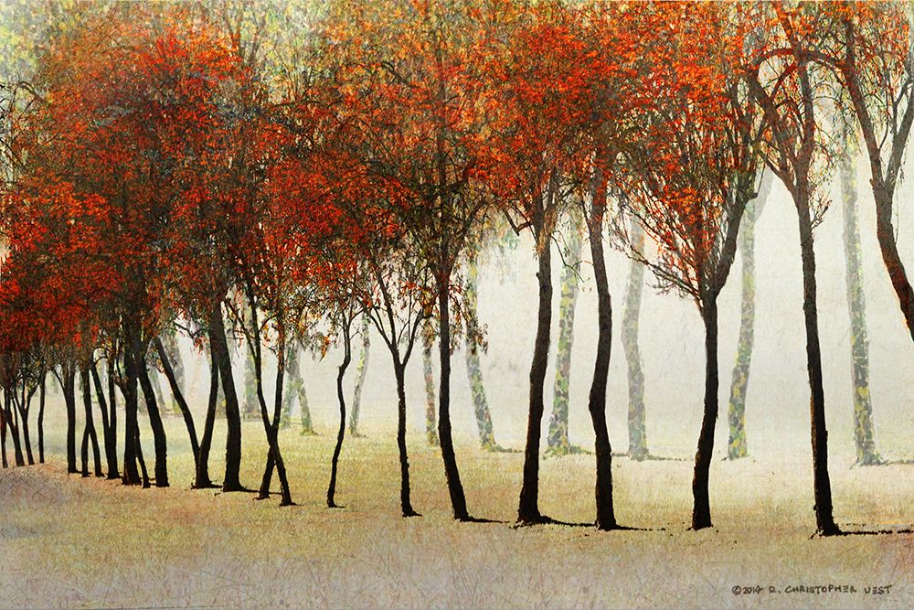 Row of Trees Red art print by Christopher Vest for $57.95 CAD