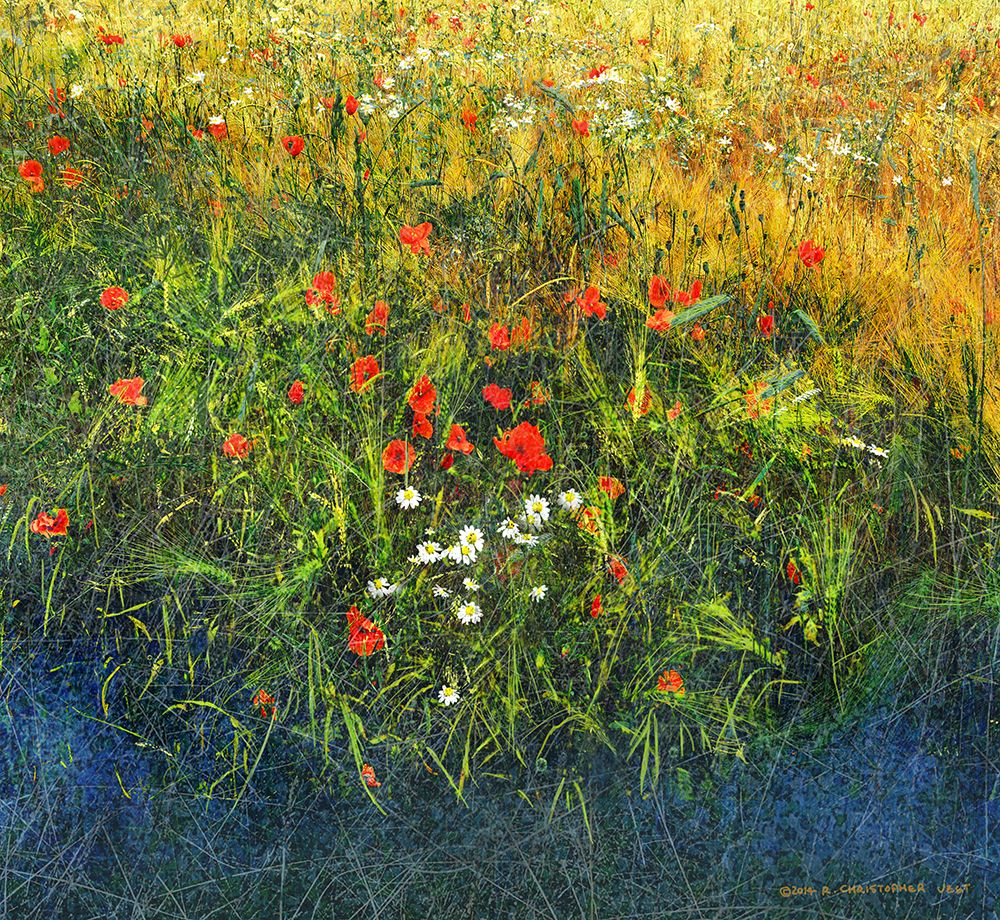 Barley and Poppies art print by Christopher Vest for $57.95 CAD