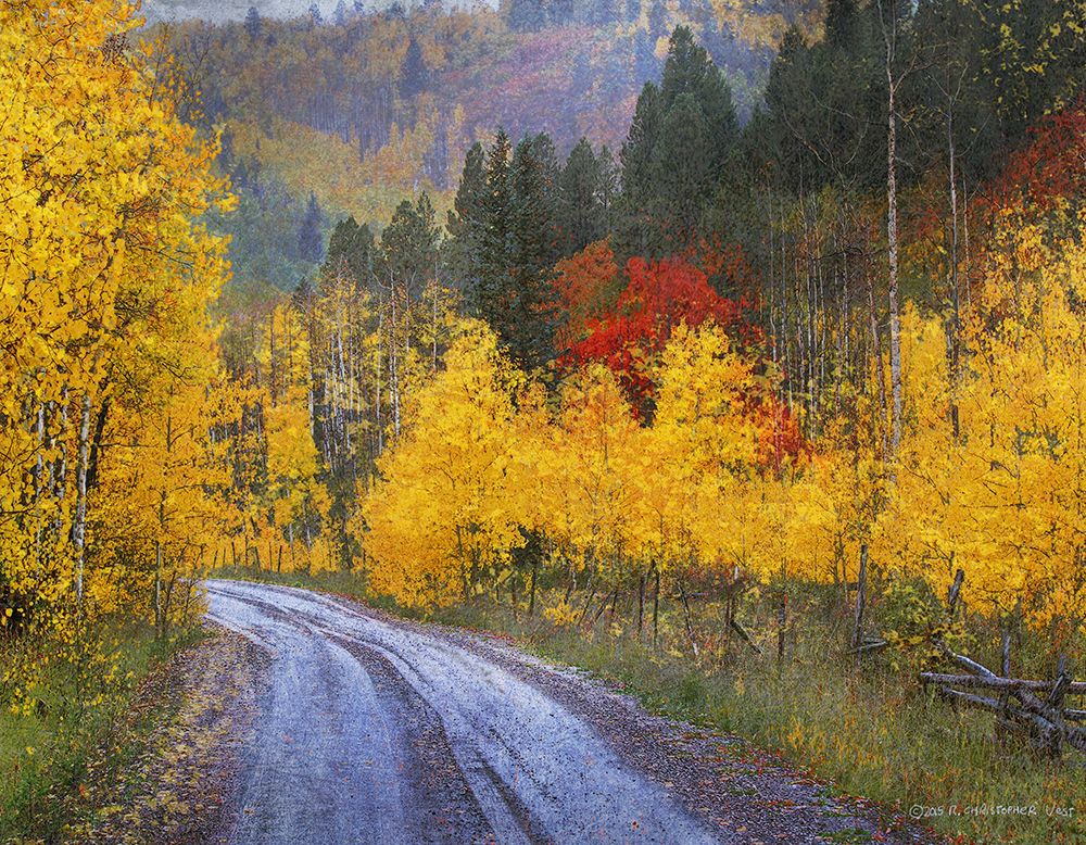 Wet Road Peak of Autumn art print by Christopher Vest for $57.95 CAD
