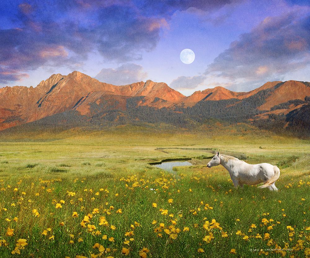 White Horse Mountain art print by Christopher Vest for $57.95 CAD