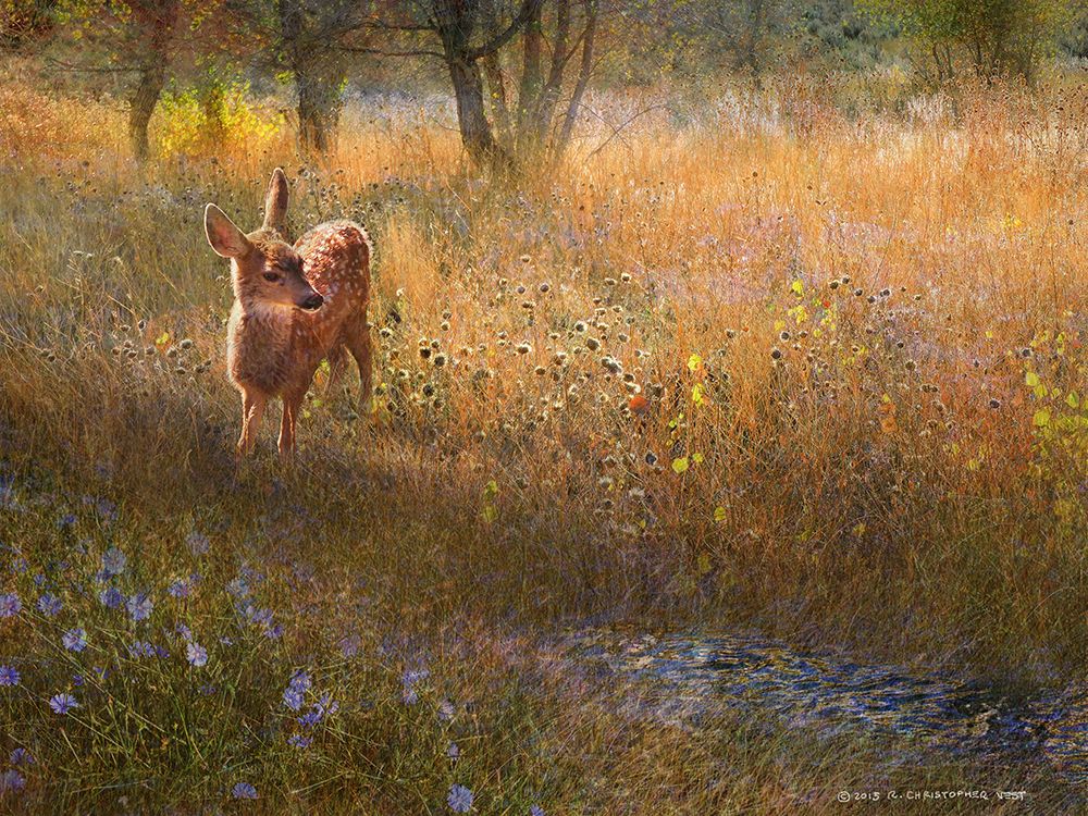 Flowered Meadow Fawn art print by Christopher Vest for $57.95 CAD
