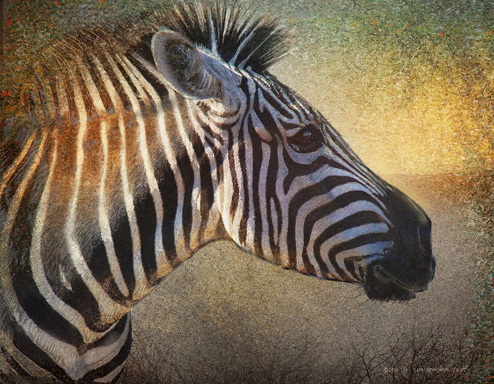 Zebra Portrait art print by Christopher Vest for $57.95 CAD