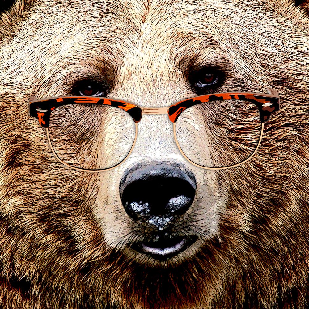 Bear Stare art print by Karen Smith for $57.95 CAD
