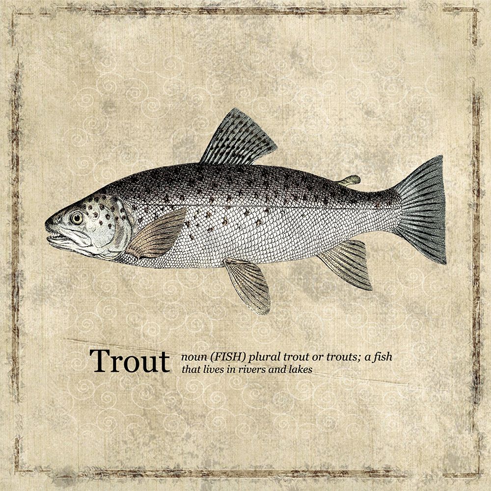 Fish Trout art print by Karen Smith for $57.95 CAD