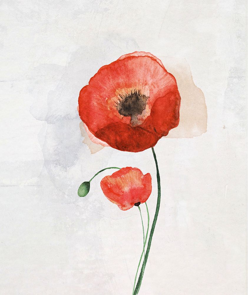 Poppy I art print by Karen Smith for $57.95 CAD