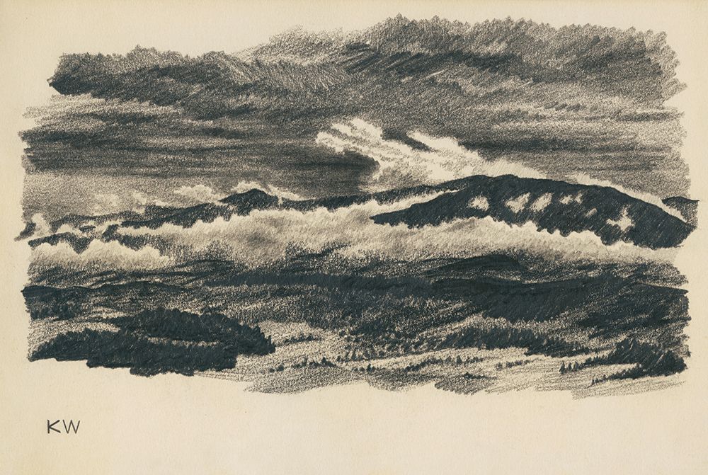 Naturstudie XLVIII 1924 art print by Karl Wiener for $57.95 CAD