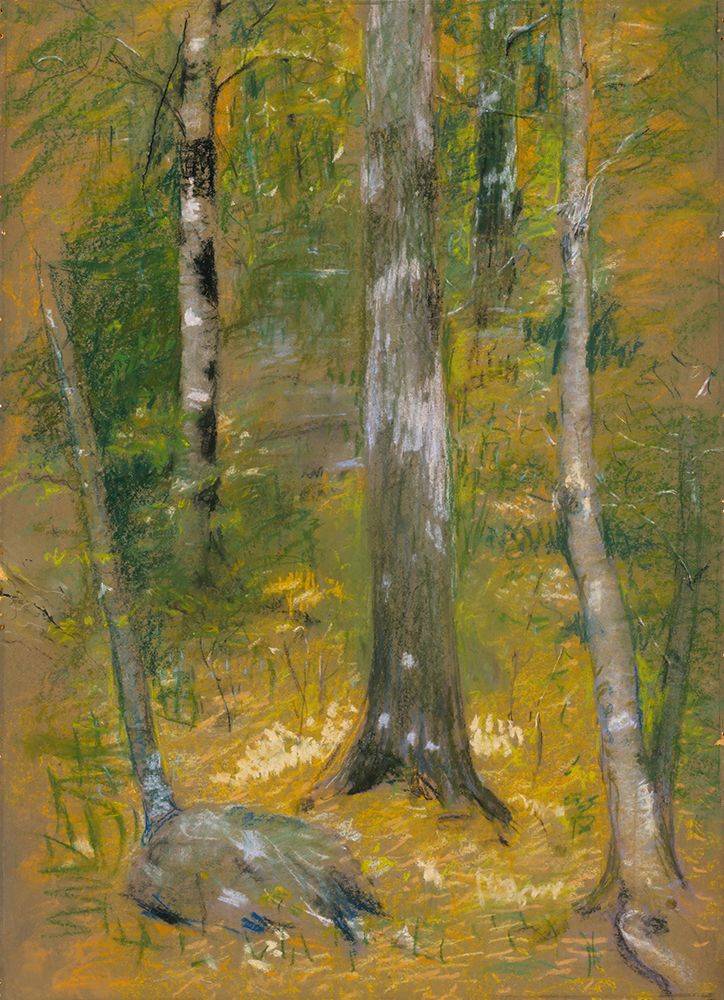 Onteora 1903 art print by Alice Pike Barney for $57.95 CAD