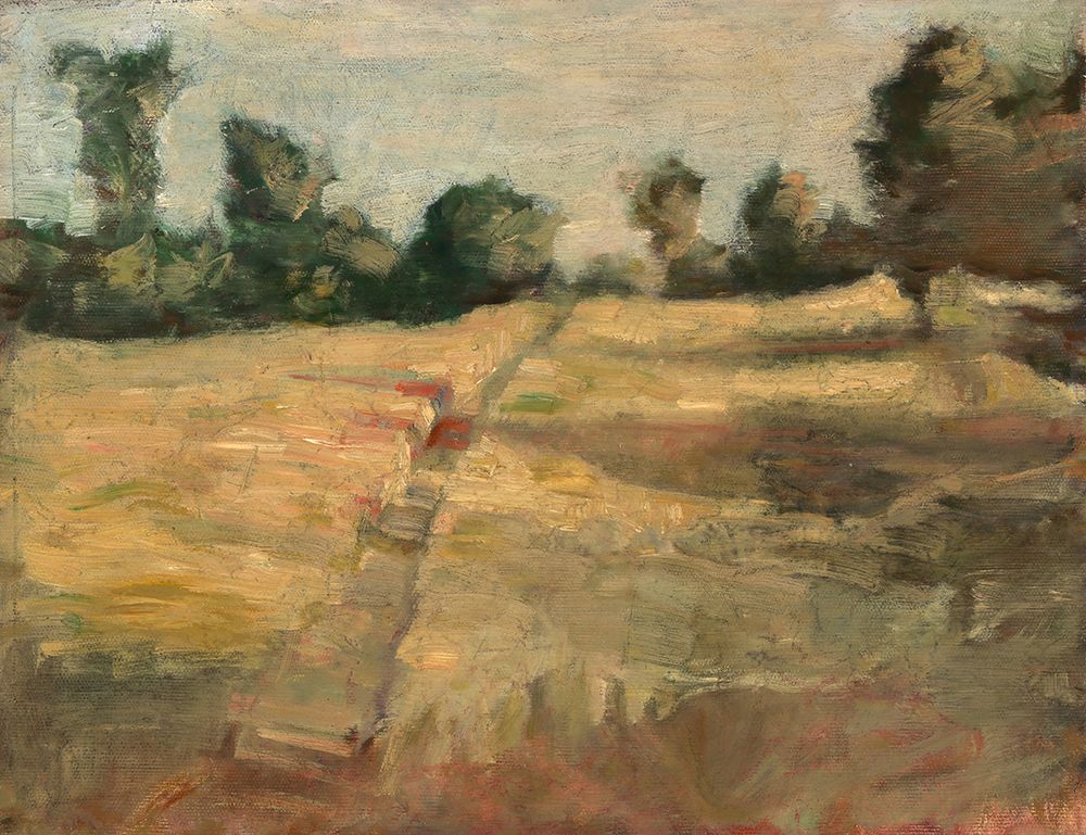 The Field art print by Alice Pike Barney for $57.95 CAD