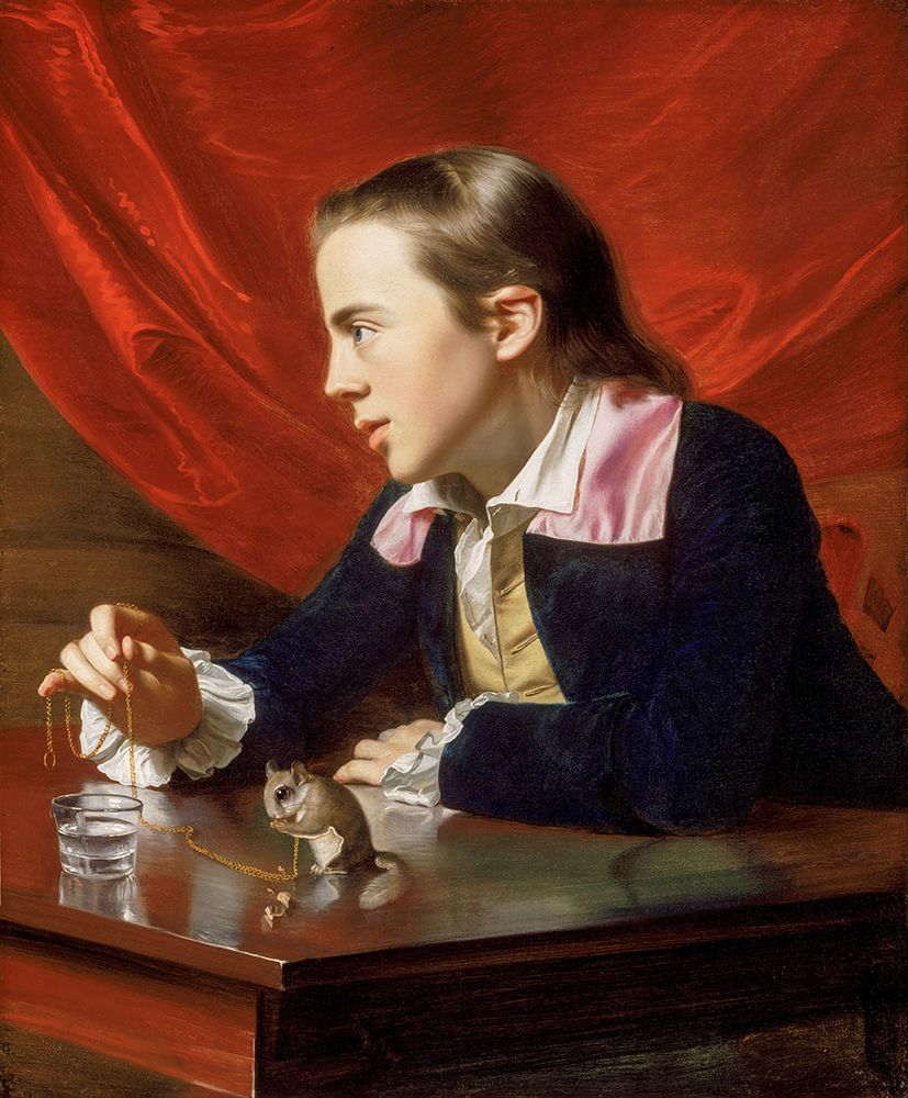 A Boy With A Flying Squirrel, Henry Pelham 1765 art print by John Singleton Copley for $57.95 CAD