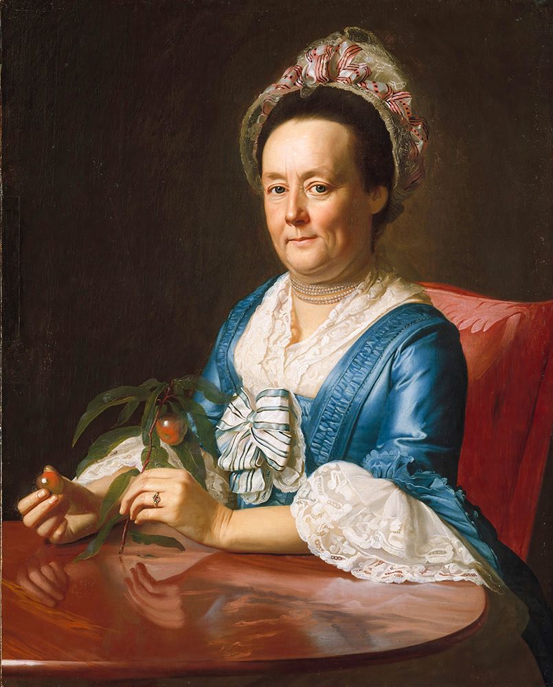 Mrs John Winthrop 1773 art print by John Singleton Copley for $57.95 CAD