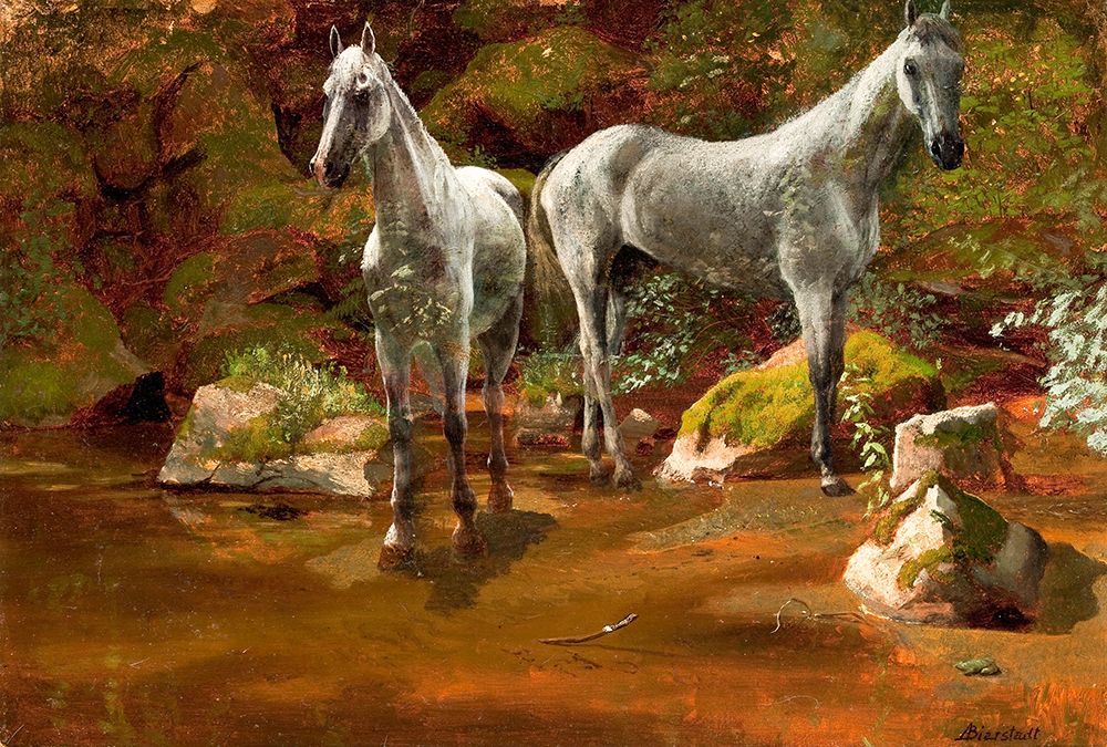 Study of Wild Horses art print by Albert Bierstadt for $57.95 CAD