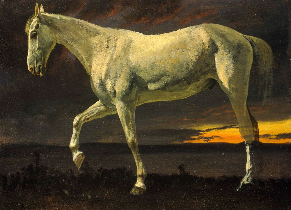 White Horse and Sunset 1863 art print by Albert Bierstadt for $57.95 CAD