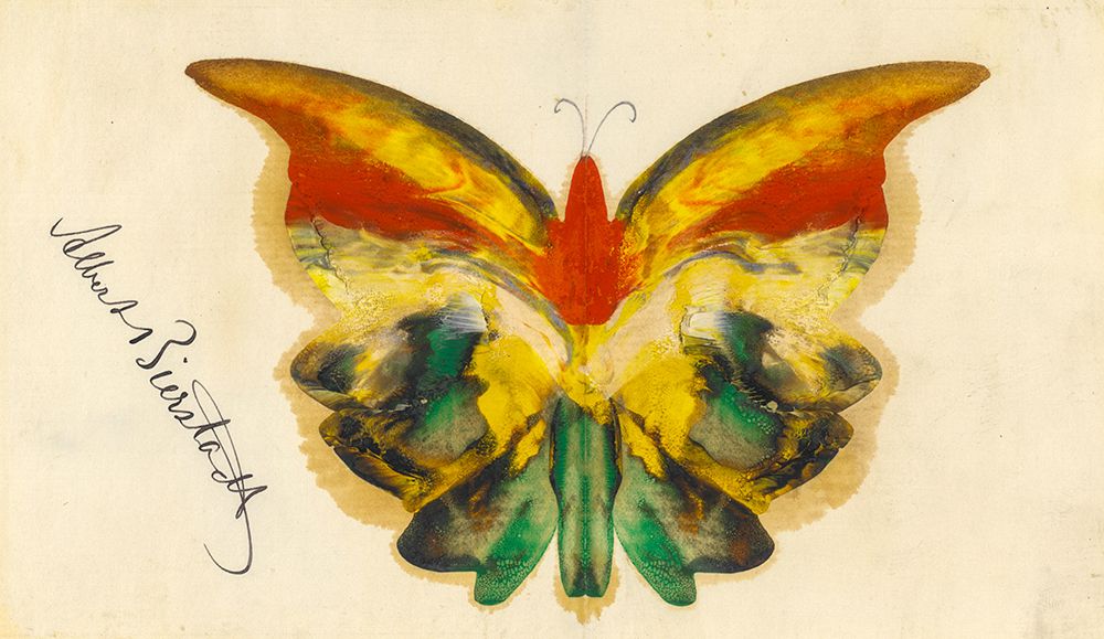 Yellow Butterfly ca 1890 art print by Albert Bierstadt for $57.95 CAD