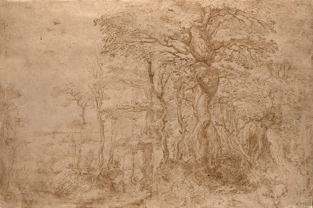 Sylvan Landscape with Five Bears 1554 art print by Pieter Bruegel the Elder for $57.95 CAD