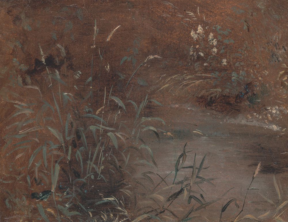 Rushes by a pool ca 1821 art print by John Constable for $57.95 CAD