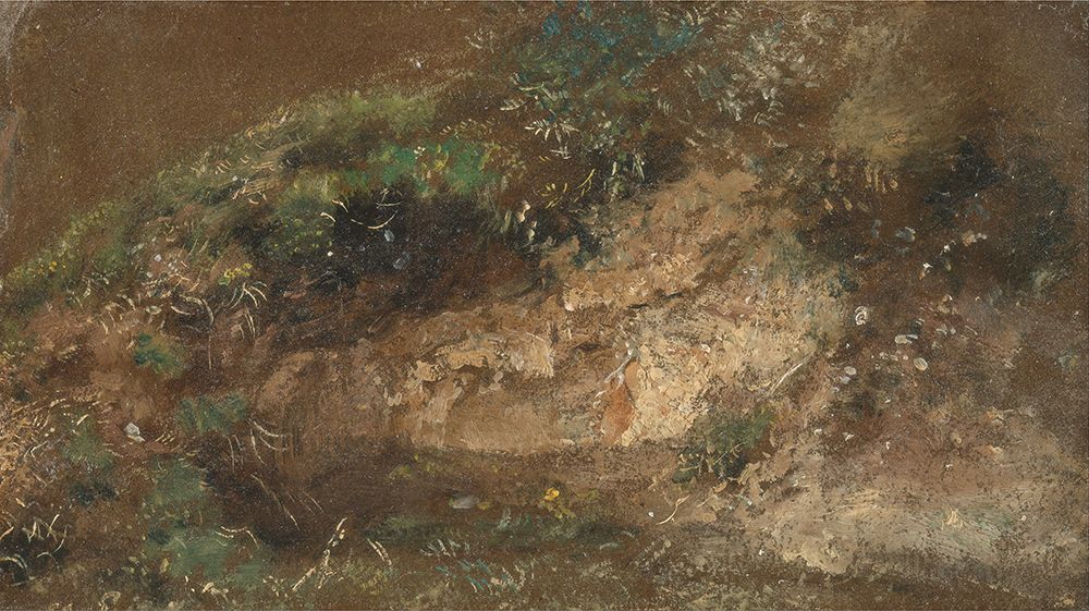 Undergrowth ca 1821 art print by John Constable for $57.95 CAD