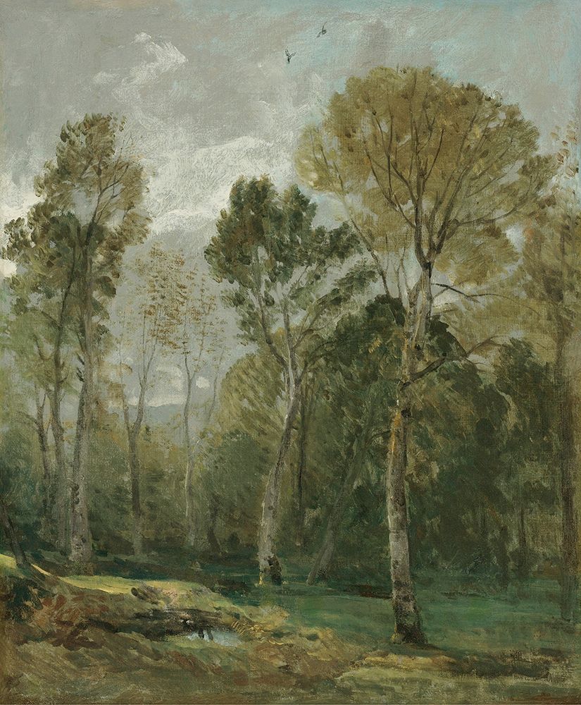 View Of A Copse art print by John Constable for $57.95 CAD