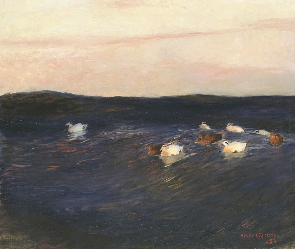 Liljefors, Bruno art print by Eider Ducks 1913 for $57.95 CAD
