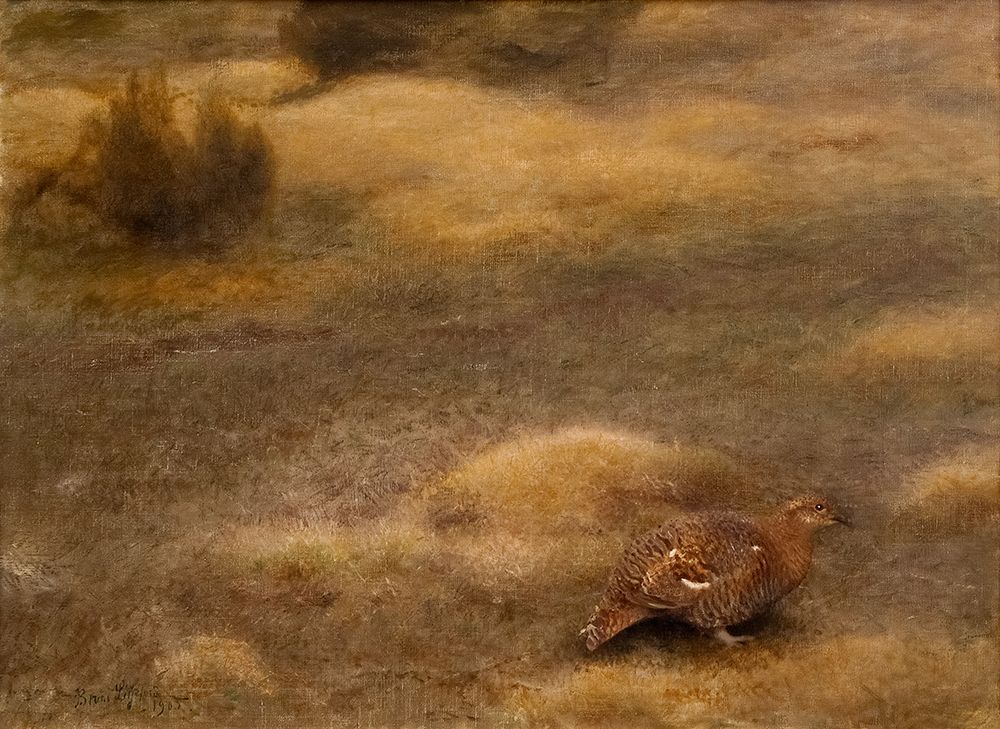 Liljefors, Bruno art print by Female Black Grouse 1905 for $57.95 CAD