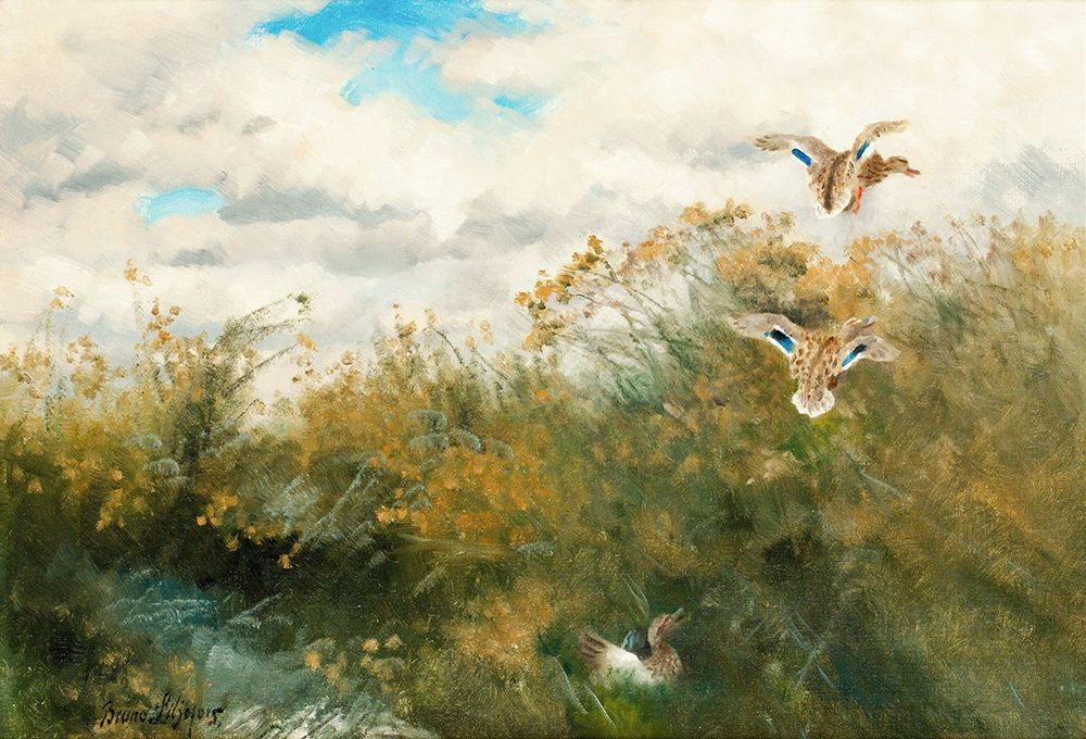 Liljefors, Bruno art print by Grasander 1939 for $57.95 CAD