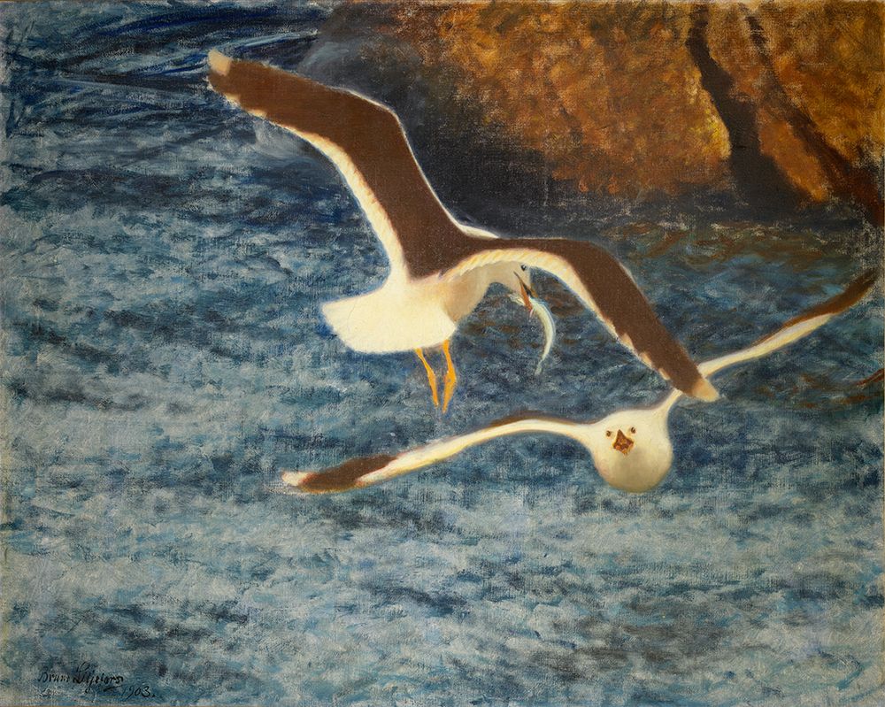 Liljefors, Bruno art print by Lesser Black-backed Gulls Flying 1903 for $57.95 CAD