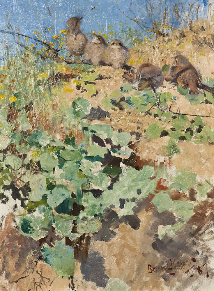 Liljefors, Bruno art print by Nestlings of Red Backed Shrike 1887 for $57.95 CAD