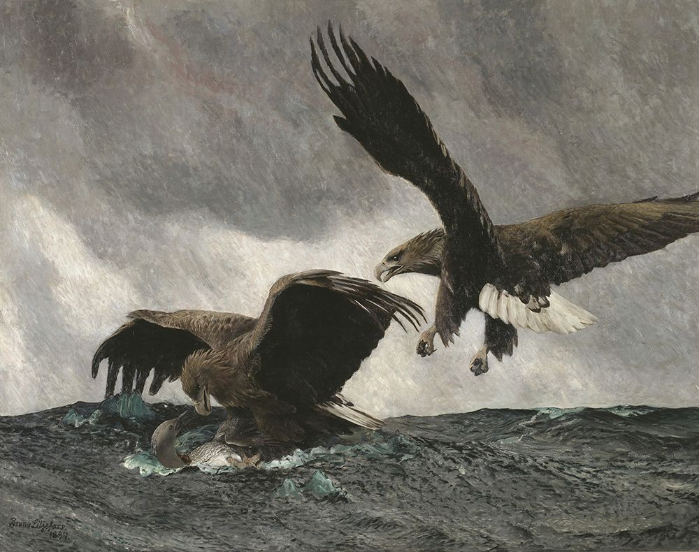 Liljefors, Bruno art print by Sea Eagles 1897 for $57.95 CAD