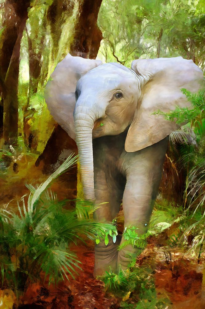 Baby Jumbo art print by Vanessa Knight for $57.95 CAD