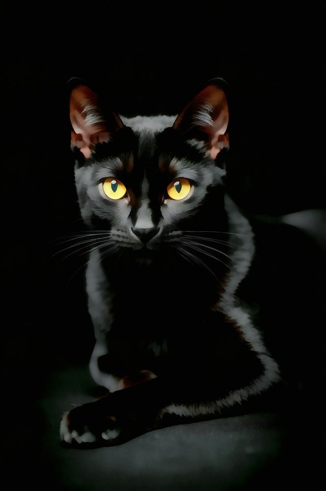 Black as Night I art print by Vanessa Knight for $57.95 CAD