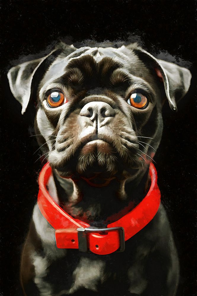 Black as Night II art print by Vanessa Knight for $57.95 CAD