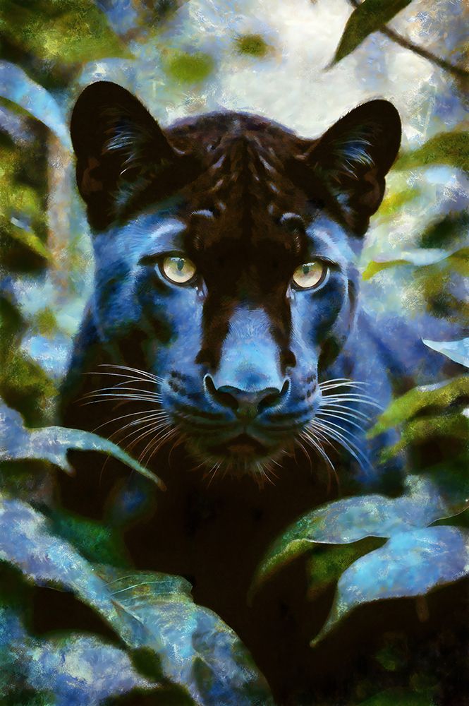 Black Panther art print by Vanessa Knight for $57.95 CAD